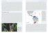 Vagrancy in Birds - Alexander Lees, James Gilroy 2021